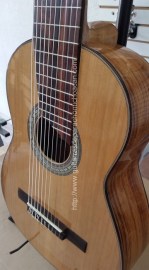 Guitarra-de-diez-cuerdas-paloescrito-modelo-GDCPL-08-foto-2